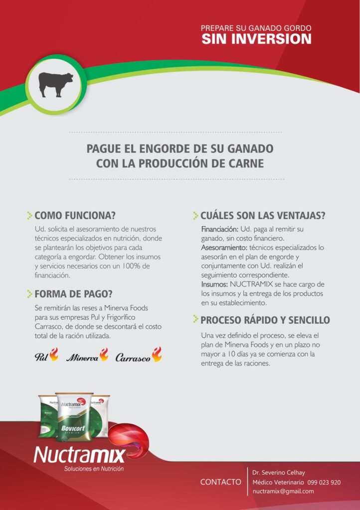 folletoGanadoGordo_ (1)