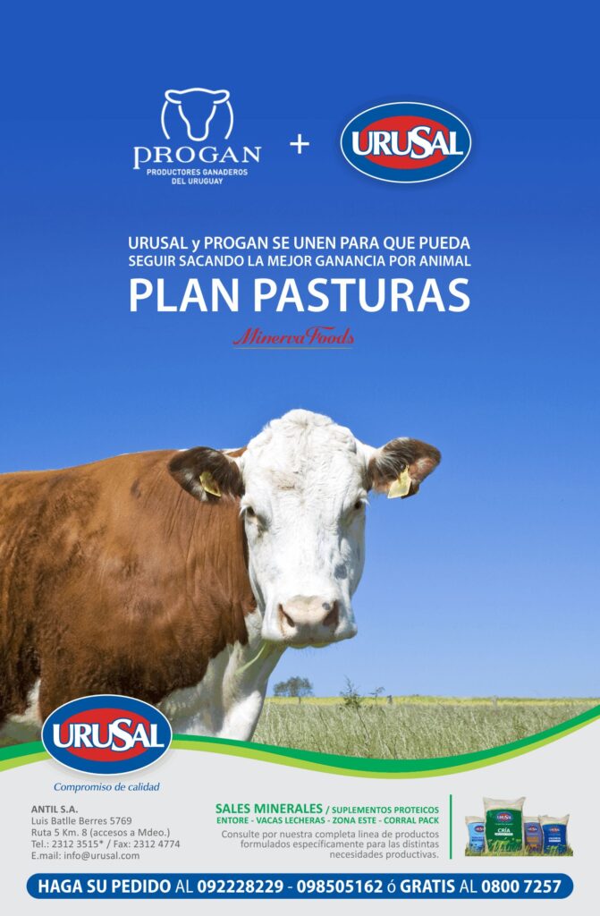 mailing-urusal-progan